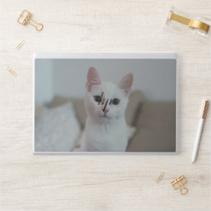 White cat   Zazzle_Growshop. HP Laptop Skin