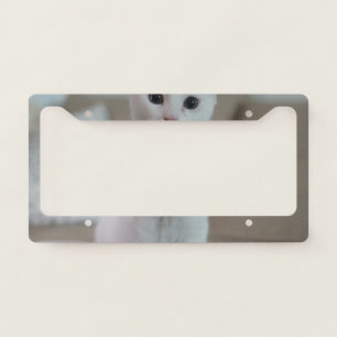 White cat   Zazzle_Growshop. License Plate Frame