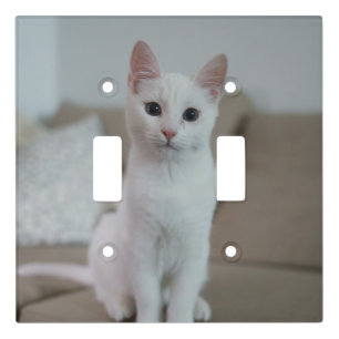White cat   Zazzle_Growshop. Light Switch Cover