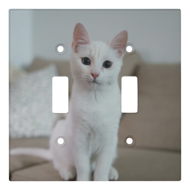 White cat | Zazzle_Growshop. Light Switch Cover (Front)