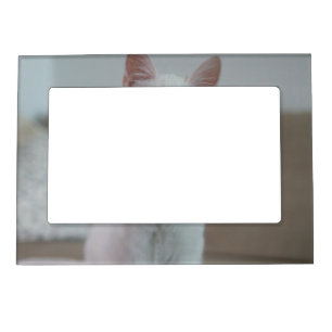 White cat Zazzle_Growshop. Magnetic Frame