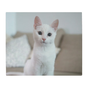 White cat   Zazzle_Growshop. Metal Print