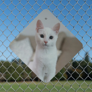 White cat Zazzle_Growshop. Metal Sign