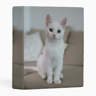 White cat   Zazzle_Growshop. Mini Binder