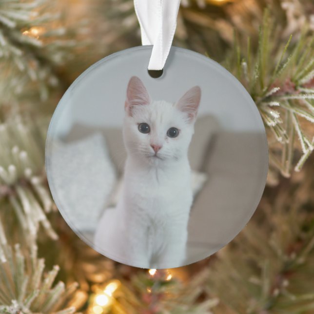 White cat | Zazzle_Growshop. Ornament (Tree)
