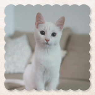 White cat Zazzle_Growshop. Paper Coaster
