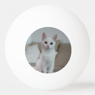 White cat Zazzle_Growshop. Ping Pong Ball