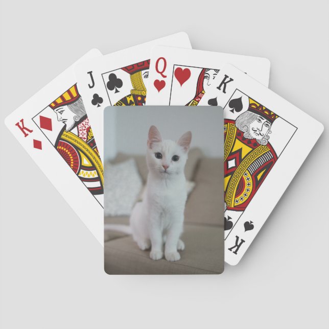 White cat | Zazzle_Growshop. Poker Cards (Back)