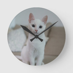 White cat Zazzle_Growshop. Round Clock