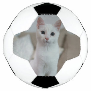 White cat   Zazzle_Growshop. Soccer Ball