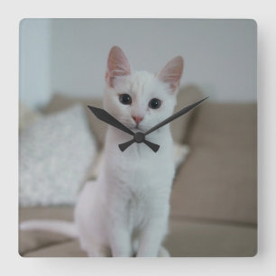 White cat   Zazzle_Growshop. Square Wall Clock