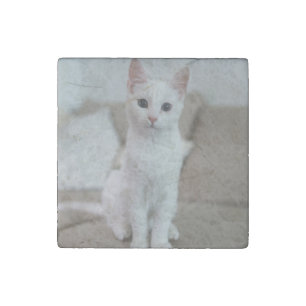 White cat Zazzle_Growshop. Stone Magnet