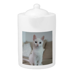 White cat   Zazzle_Growshop. Teapot