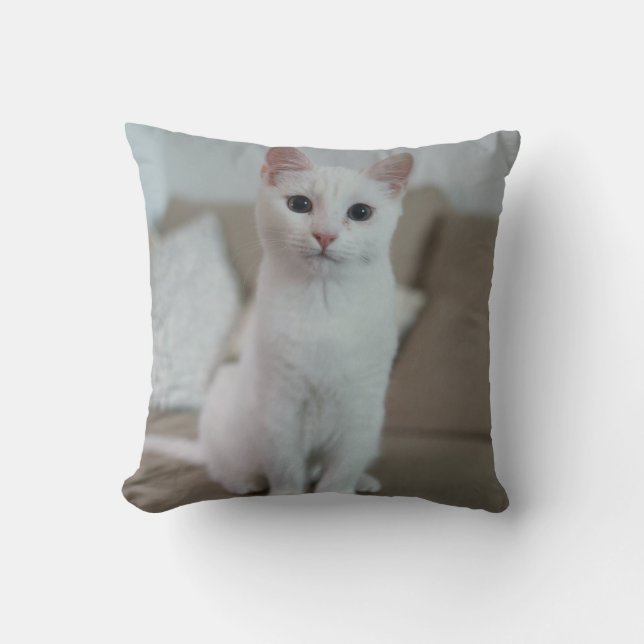 White cat | Zazzle_Growshop. Throw Pillow (Front)
