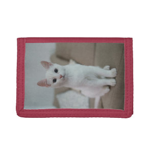 White cat | Zazzle_Growshop. Tri-fold Wallet