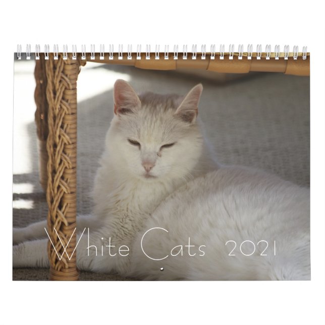 White Cats  2021 Calendar (Cover)