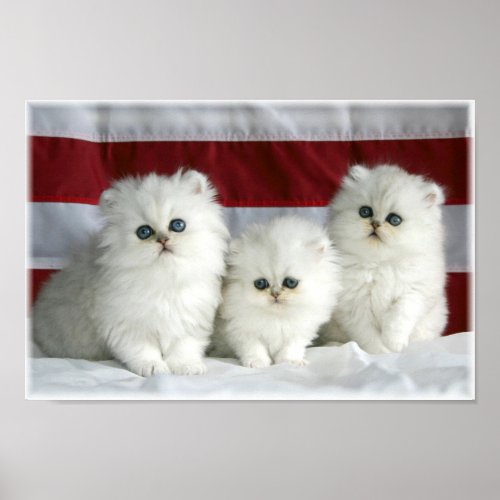 White Cats Poster
