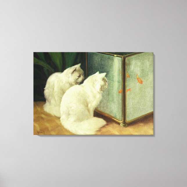 White Cats Watching Goldfish Canvas Print (Front)