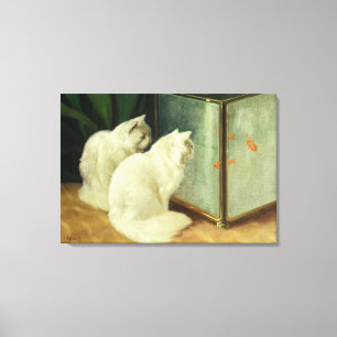 White Cats Watching Goldfish Canvas Print