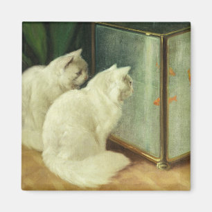 White Cats Watching Goldfish Magnet