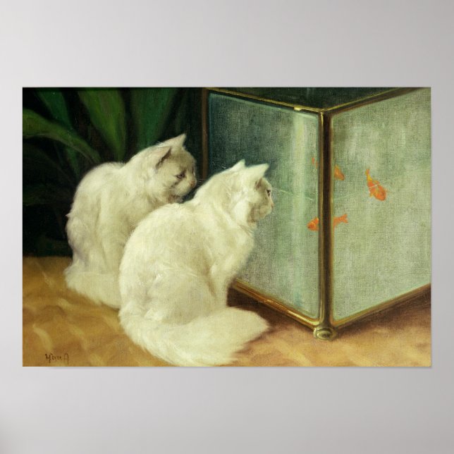 White Cats Watching Goldfish Poster (Front)