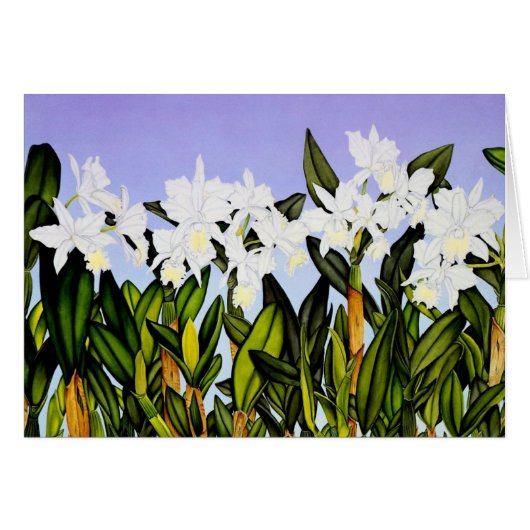 White Cattleya Orchids Cards (Front Horizontal)