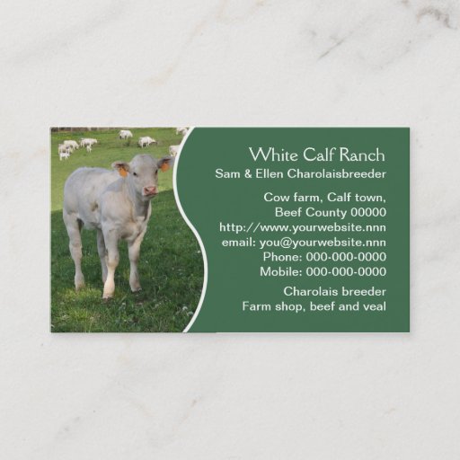 Customizable Charolais beef cattle business card