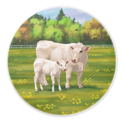 White Charolais Cow  Cute Calf Beef Cattle Ceramic Knob