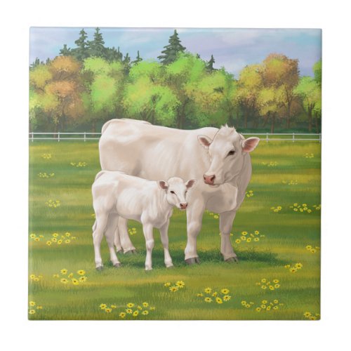 White Charolais Cow  Cute Calf Beef Cattle Ceramic Tile