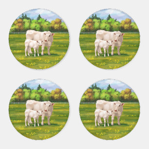 White Charolais Cow & Cute Calf Beef Cattle Coaster Set
