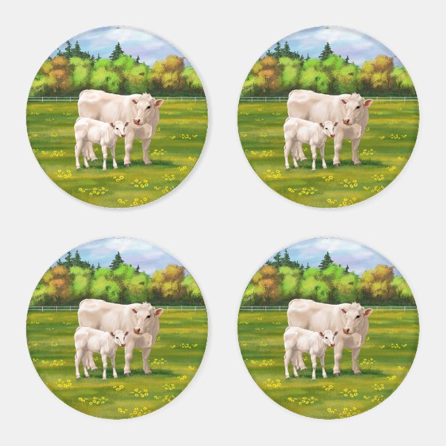 White Charolais Cow & Cute Calf Beef Cattle Coaster Set (Set)