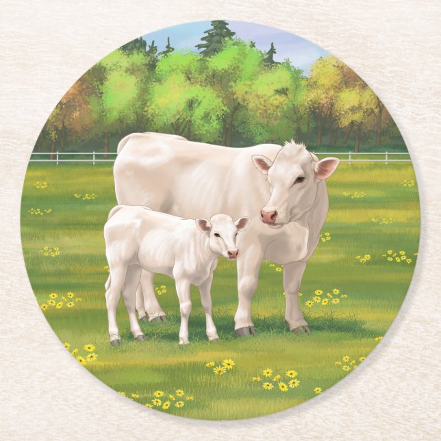 White Charolais Cow & Cute Calf Beef Cattle Round Paper Coaster (Front)
