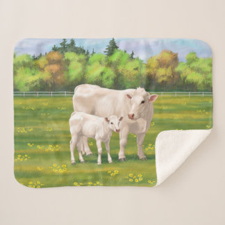 White Charolais Cow & Cute Calf Beef Cattle Sherpa Blanket