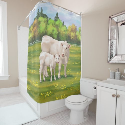 White Charolais Cow  Cute Calf Beef Cattle Shower Curtain