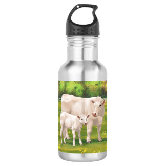 White Charolais Cow & Cute Calf Beef Cattle Stainless Steel Water Bottle