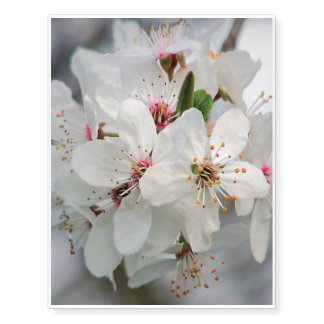 White Cherry Blooms Temporary Tattoos