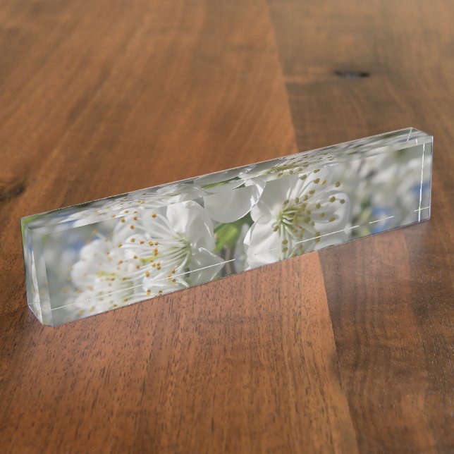 white cherry blossom in spring against a blue sky nameplate (Side)