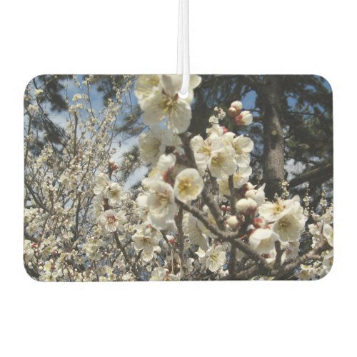 White Cherry Blossom  Sakura  サクラ桜 Air Freshener