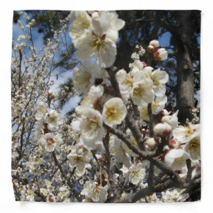 White Cherry Blossom / Sakura / サクラ（桜） Bandana