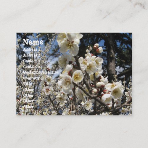 White Cherry Blossom  Sakura  サクラ桜 Business Card