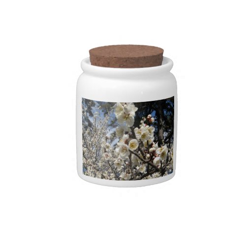 White Cherry Blossom  Sakura  サクラ桜 Candy Jar