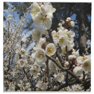 White Cherry Blossom / Sakura / サクラ(桜) Cloth Napkin