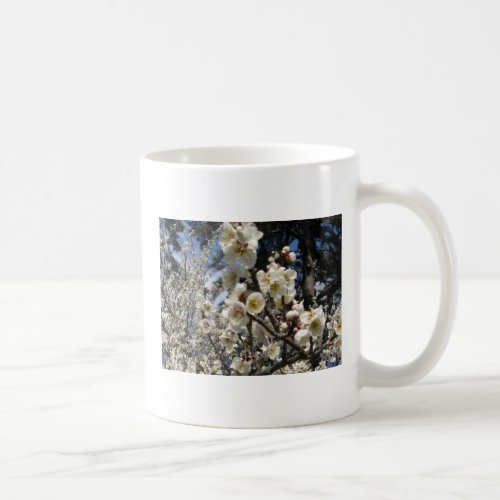 White Cherry Blossom  Sakura  サクラ桜 Coffee Mug