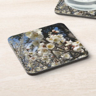 White Cherry Blossom / Sakura / サクラ(桜) Drink Coaster