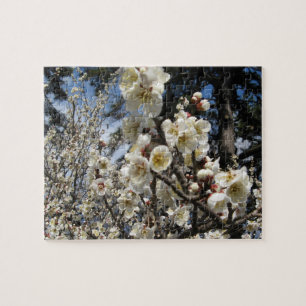 White Cherry Blossom / Sakura / サクラ(桜) Jigsaw Puzzle