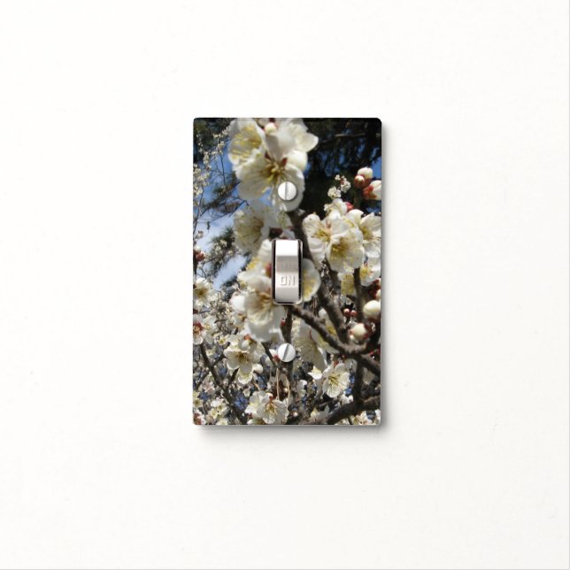 White Cherry Blossom / Sakura / サクラ（桜） Light Switch Cover (In Situ)