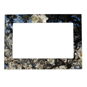 White Cherry Blossom / Sakura / サクラ(桜) Magnetic Picture Frame