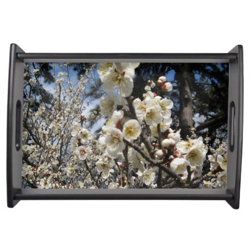 White Cherry Blossom  Sakura  サクラ桜 Serving Tray