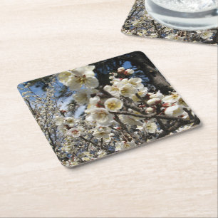 White Cherry Blossom / Sakura / サクラ(桜) Square Paper Coaster
