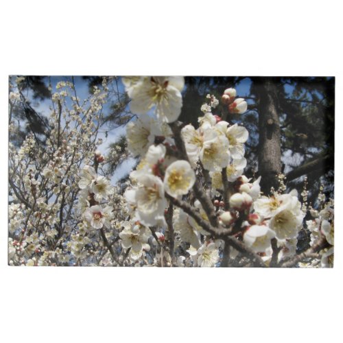 White Cherry Blossom  Sakura  サクラ桜 Table Card Holder